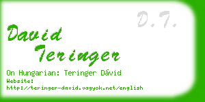 david teringer business card